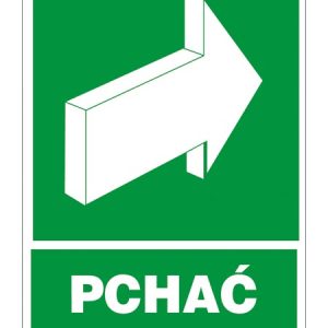 Znak ewakuacyjny Pchać ZZ-38E